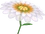 MK7 Flower Glider