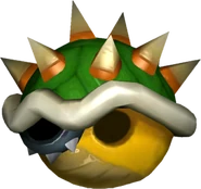 Bowser Shell.