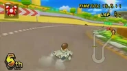 A Mii racing at Luigi Circuit while in his Super Blooper.