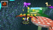 Toad gliding in the air, about to approach some coins.