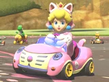 Cat Peach
