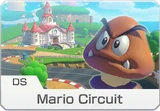 DS Mario Circuit