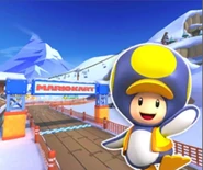 Icon for DK Summit in Mario Kart Tour sporting Penguin Toad.