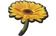 FlowerGliderMK8