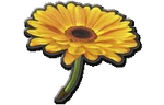 FlowerGliderMK8.png (28 KB) Flower Glider
