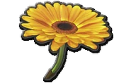 FlowerGliderMK8.png (28 KB) Flower Glider