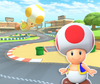 Toad Circuit (New York, Tokyo, Winter, London, New Year's, Valentine's, Mario Bros., Trick, Flower, Mario)