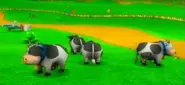 MKW Moo Moo Meadows.webp (9 KB) Moo Moo cows as seen in Moo Moo Meadows on Mario Kart Wii.