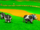 Moo Moo