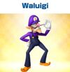 Waluigi Tour