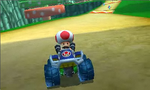 Toad driving on Wii Mushroom Gorge.