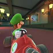 Luigi at the course