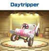 Daytripper