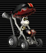 BoosterSeat-DryBones