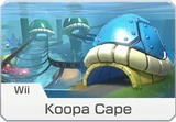 Wii Koopa Cape