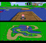 Toad at the second bridge of the track.