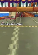 The track in Mario Kart DS.