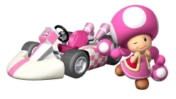 Toadette Mario Kart Wii Wiki Fandom