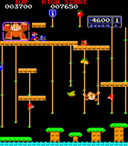 180px-Donkey kong jr.png