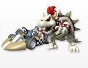 Dry Bowser (Mario Kart Wii)