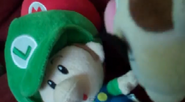 Wario stares Baby Luigi