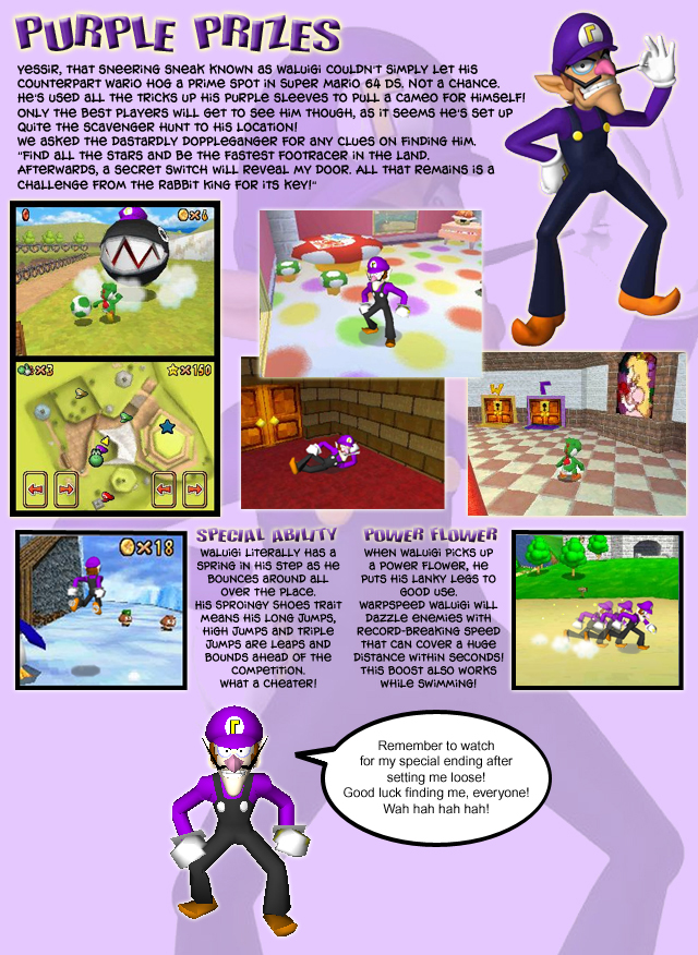 waluigi in super mario 64 ds