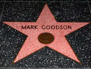 Mark goodson television star