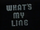 What's My Line?/International