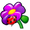 Male przyroda.png