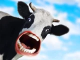 MOO
