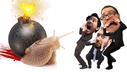 Snaaaaaaaaaail!! th