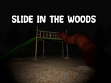 Slide in the Woods
