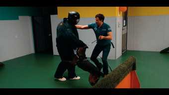 Being Attacked By A Fully Trained Bodyguard Dog Markiplier Wiki Fandom