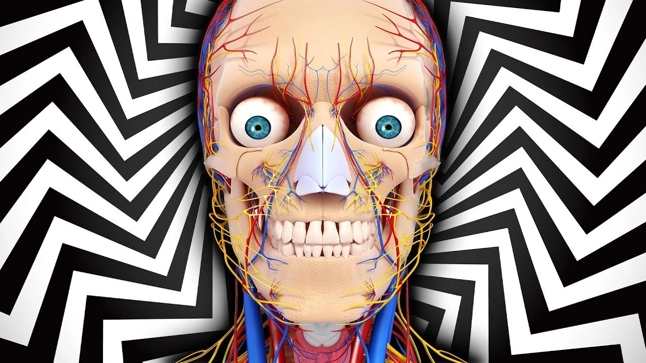 Emotional Pain Vs Physical Pain Which Is Worse Markiplier Wiki Fandom