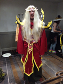 Mark cosplaying at Blizzcon 2014