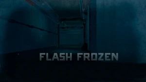 FlashFrozen