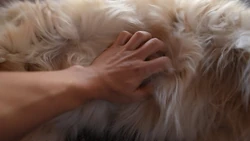 Belly scritches