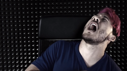 Will You Press The Button?, Markiplier Wiki