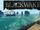 Blackwake