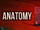 ANATOMY