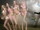 Five Nights at Victoria's Secret & The Dilnado