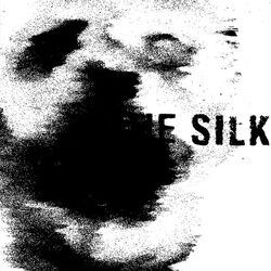 The Silkbulb Test, Markiplier Wiki