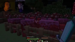 DrunkMinecraft15SS