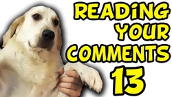 ReadingYourComments13