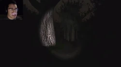 WarfstachePlaysSlenderSS