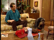 A TV Guide on the coffee table near the pile of random items that Buck brought to Al in "The Computer Show".