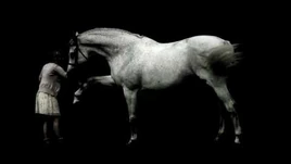 Monsters Thumb yt fixed