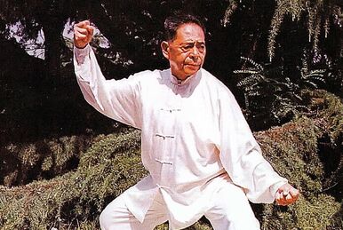 Taoist tai chi - Wikipedia