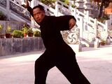 Bajiquan