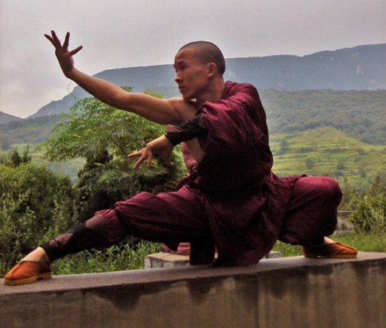 praying hands with kung fu stance